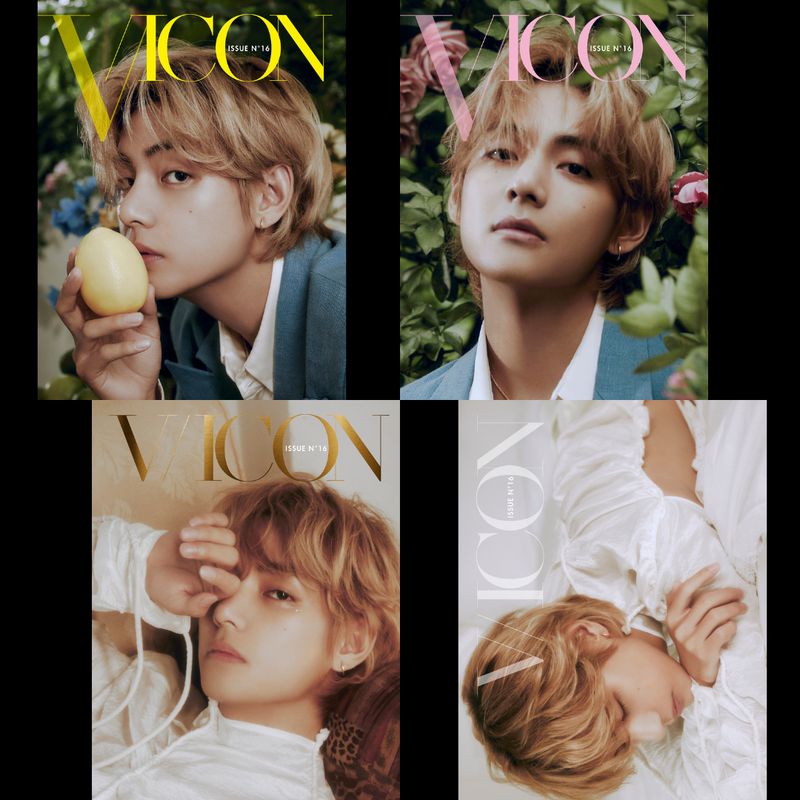 BTS V DICON ISSUE N°16 V : VICON