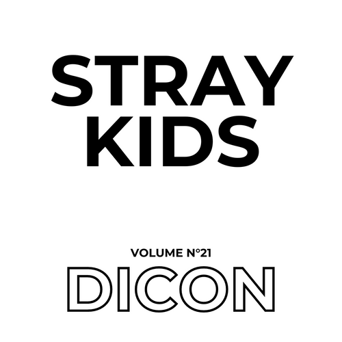 Stray Kids DICON Volume 21 Stay Cool