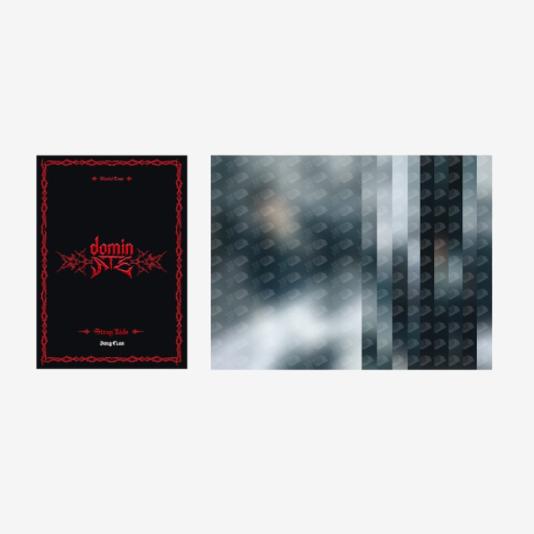 [PRE-ORDER] Stray Kids [dominATE SEOUL] Postcard Book