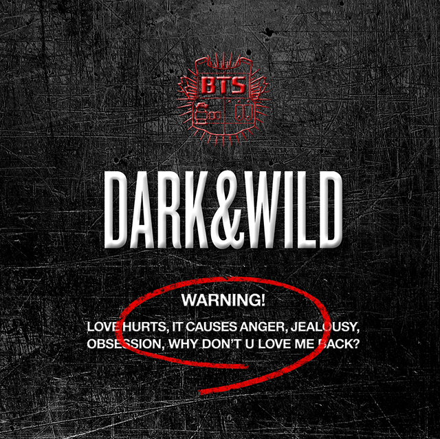 BTS - DARK & WILD Album